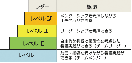 クリニカルラダーシステム